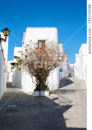 Beautiful streets of Vejer de la Frontera, Spain, Andalusia region, Costa de la Luz, Cadiz district, White Towns, Iberian Peninsula, Old town. Ruta de los Pueblos Blancos Beautiful streets of Vejer de la Frontera, Spain, Andalusia region, Costa de la Luz, Cadiz district, White Towns, Iberian Peninsula, Old town. Ruta de los Pueblos Blancos 109333886