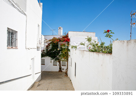 Beautiful streets of Vejer de la Frontera, Spain, Andalusia region, Costa de la Luz, Cadiz district, White Towns, Iberian Peninsula, Old town. Ruta de los Pueblos Blancos 109333891