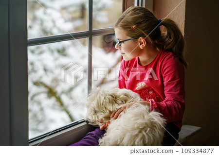 Little girl sitting by window with her pet dog Maltese at home. Happy child and cute puppy looking out on winter snow landscape. Love, friendship, family animal. 109334877