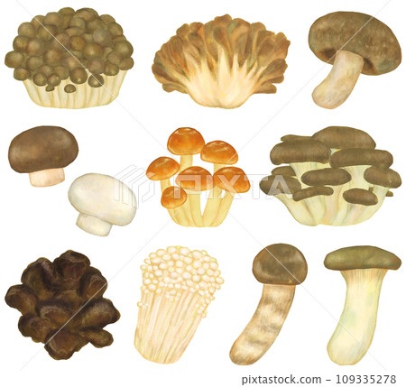 Mushroom set 109335278
