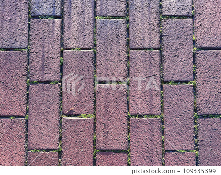 A top down view of a brick walk way. Background, a little grass inside. sunny day view A top down view of a brick walk way. Background, a little grass inside. sunny day view 109335399