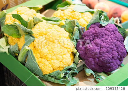Purple and yellow cauliflower. Whole vegetables of vibrant colors. Farm harvest 109335426