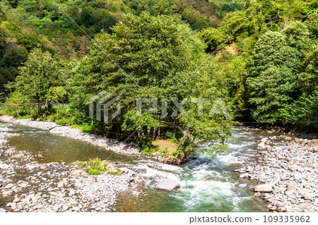riverbed of Machakhela River in Adjara in autumn 109335962