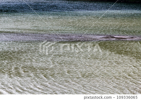 surface of Chorokh and Acharistskali rivers surface of Chorokh and Acharistskali rivers 109336065