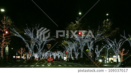 和歌山市櫸樹大道燈飾 和歌山市櫸樹大道燈飾 109337017