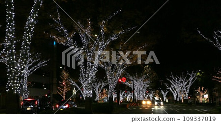 Wakayama City Keyaki Boulevard Illumination 109337019