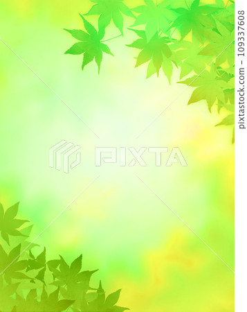 新鮮綠色背景上的綠葉和秋葉 109337608
