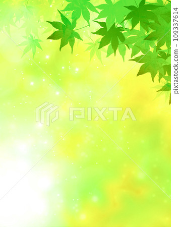 新鮮綠色背景上的綠葉和秋葉 109337614