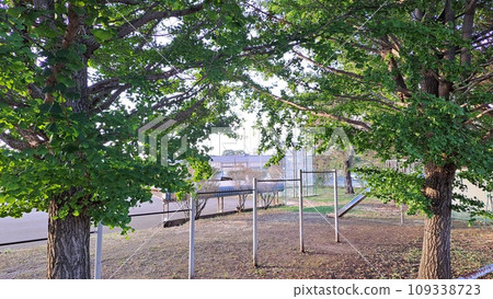 綠色公園 綠色公園 109338723