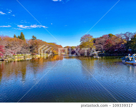井之頭公園 井之頭公園 109339317