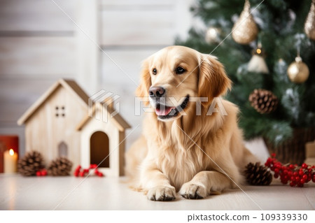Christmas themed A friendly dog sitting next to a house. Generative AI Christmas themed A friendly dog sitting next to a house. Generative AI 109339330