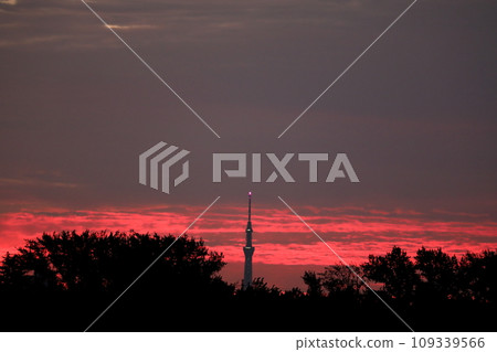 Sky Tree Morning glow 109339566
