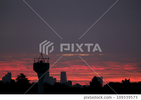 天空樹晨光 109339573