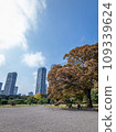 [Chuo-ku, Tokyo] Hamarikyu Gardens 109339624