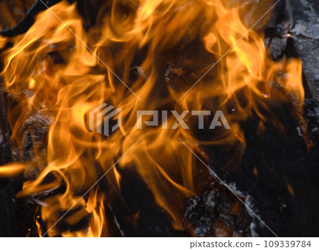 beautiful, bright flame from burning wooden firewood 109339784