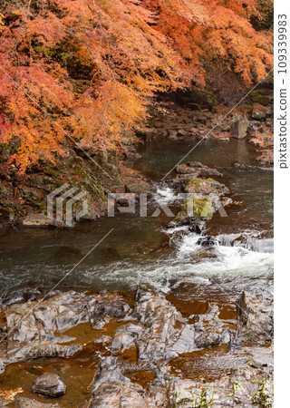 Mamon Falls in Tochigi Prefecture has beautiful autumn leaves. Mamon Falls in Tochigi Prefecture has beautiful autumn leaves. 109339983