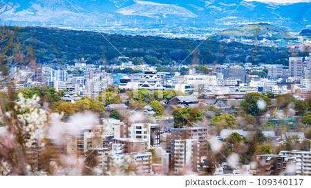 Kumamoto Castle - Cherry blossom season - Cityscape seen from tourist spot Hanaokayama Observation Deck (Kumamoto City) 109340117