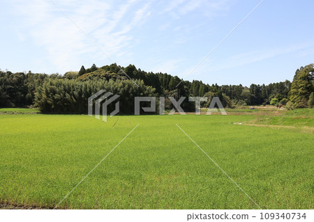 rural life 109340734