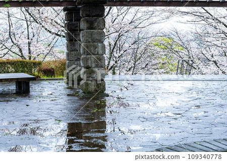 Scenery reflected in the water mirror Scenery of Kikuchi Park, a tourist spot reflected in the cherry blossoms (Kikuchi City) Scenery reflected in the water mirror Scenery of Kikuchi Park, a tourist spot reflected in the cherry blossoms (Kikuchi City) 109340778