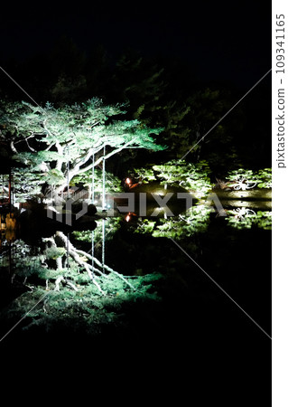 Autumn light-up at Ritsurin Park in Takamatsu, Shikoku (Michelin ★★★) 109341165