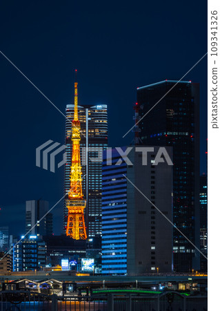 東京中央區晴海碼頭公園的夜景 109341326