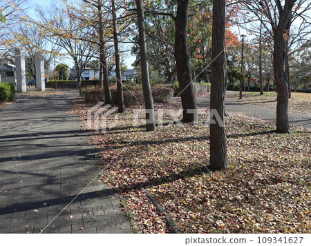 11 月的西神中央公園 神戶市西區公園 11 月的西神中央公園 神戶市西區公園 109341627