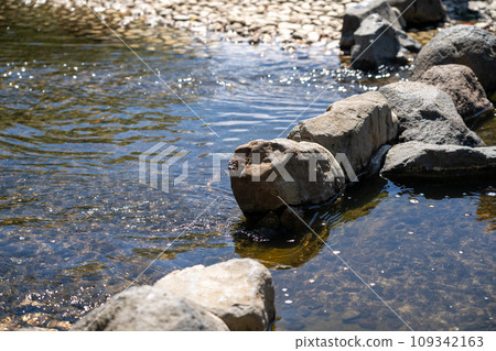 城市的靜謐，人工河流淌的自然美 109342163