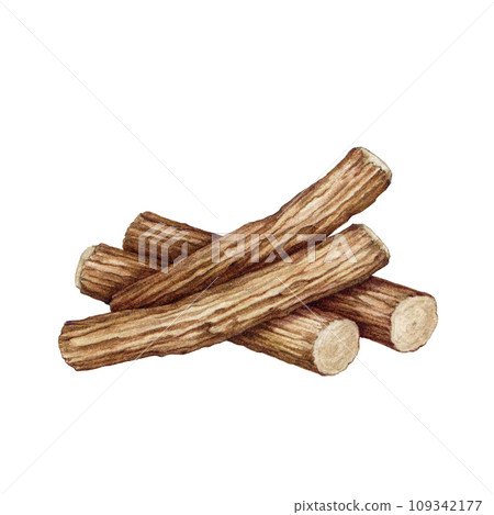 Licorice plant dry root pile. Glycyrrhiza glabra botanical illustration. Hand drawn liqourice herb dry root pile element. Licorice medicinal plant edible sweet part. isolated on white background 109342177