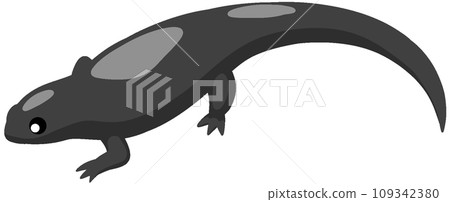 高山蠑螈 高山蠑螈 109342380