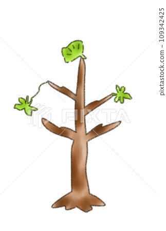mature tree mature tree 109342425