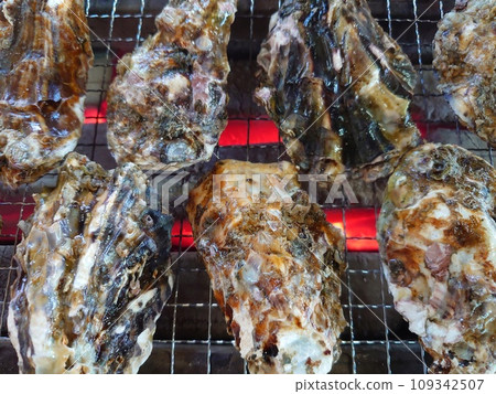 Image of eating authentic Hiroshima oysters at an oyster hut Image of eating authentic Hiroshima oysters at an oyster hut 109342507