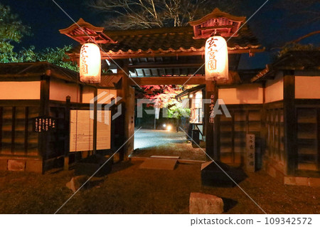 秋天的滋賀縣彥根市彥根城玄宮園入口（夜間開放） 109342572