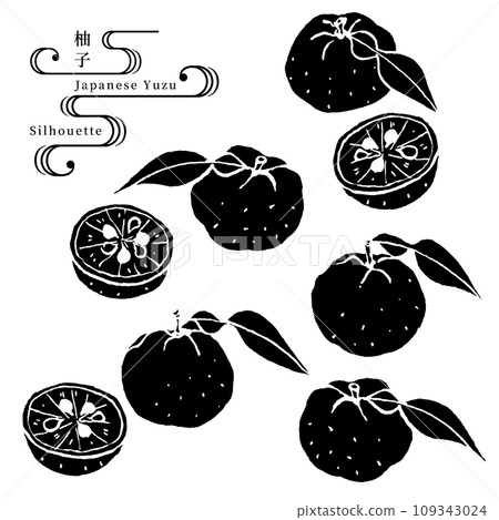 Yuzu silhouette vector illustration 109343024