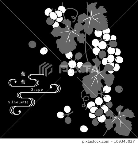 Grape silhouette vector illustration - black background Grape silhouette vector illustration - black background 109343027