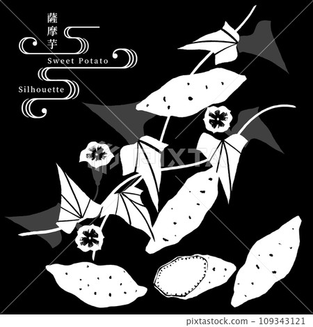 Sweet potato silhouette vector illustration, black background 109343121