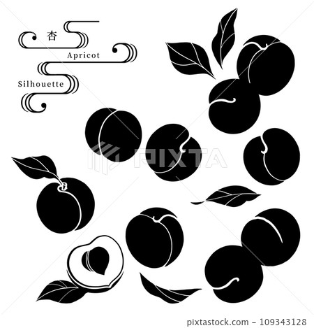 Apricot silhouette vector illustration 109343128