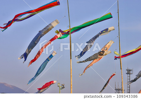 游泳在天空的鯉魚飄帶 109343386