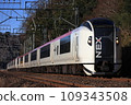 Series E259 Limited Express Narita Express 109343508