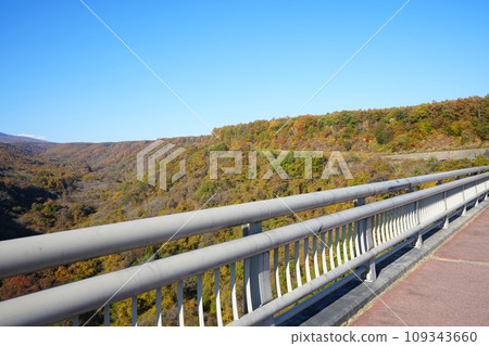 Japan Yamanashi Prefecture Yatsugatake Autumn leaves Japan Yamanashi Prefecture Yatsugatake Autumn leaves 109343660