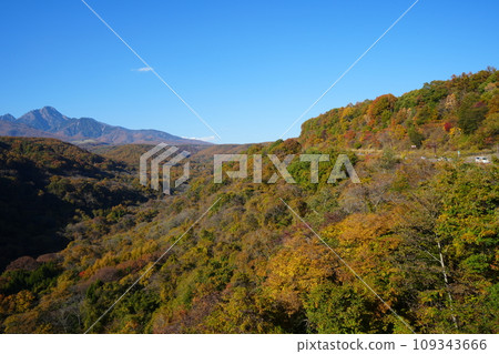 Japan Yamanashi Prefecture Yatsugatake Autumn leaves Japan Yamanashi Prefecture Yatsugatake Autumn leaves 109343666