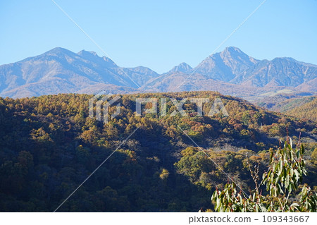 Japan Yamanashi Prefecture Yatsugatake Autumn leaves 109343667
