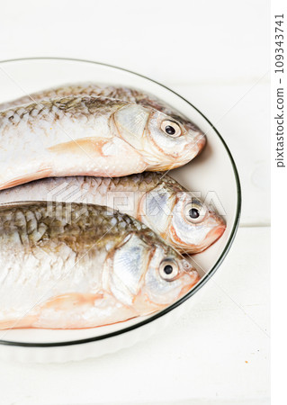 fresh fish on the white background fresh fish on the white background 109343741