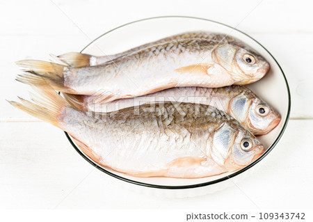 fresh fish on the white background fresh fish on the white background 109343742