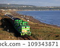 train, trains, electric train 109343871
