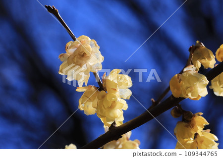 慌張 慌張 109344765