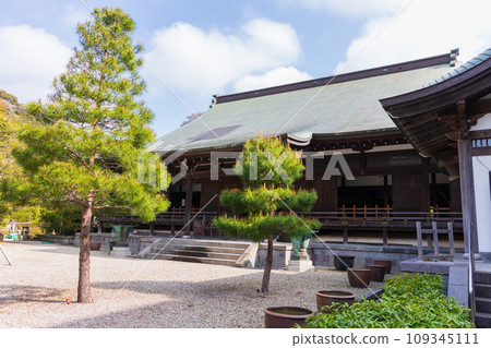 古都鎌倉的春天,建長寺北條 古都鎌倉的春天,建長寺北條 109345111