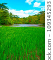 A landscape of blue skies and fresh greenery 109345293