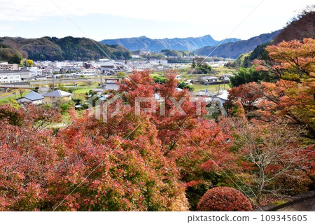 Autumn leaves and the cityscape of Daigo seen from Eigenji Temple (Momiji Temple), Daigo Town, Ibaraki Prefecture 109345605