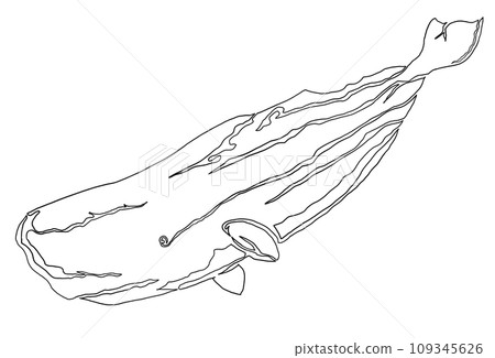 One stroke illustration of a sperm whale 109345626