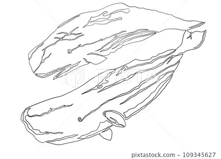 One-stroke illustration of parent and child whales 109345627